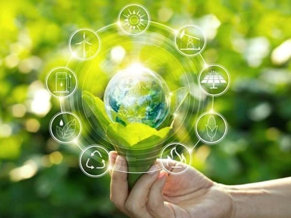 Yếu tố nhạy cảm về môi trường là gì?