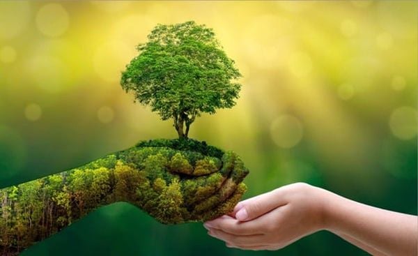 Thời hạn áp dụng giấy phép xả thải môi trường
