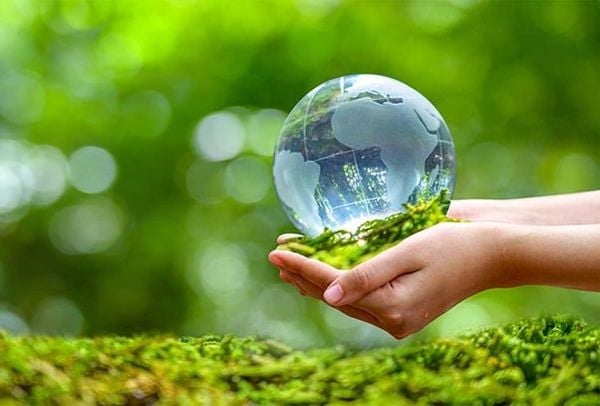 Quy định về trách nhiệm của cơ quan cấp giấy phép môi trường