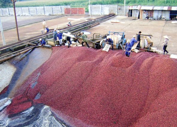 Nước thải mực in là nước thải được tạo ra trong quá trình sản xuất