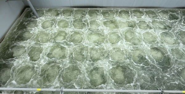 Bể hiếu khí được dùng rộng rãi khắp thế giới