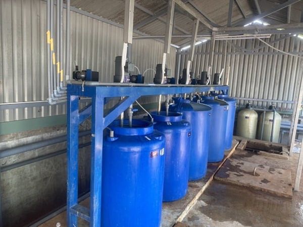 Tính chất của giá thể vi sinh di động trong công nghệ MBBR