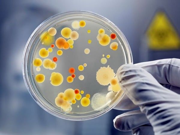Giai đoạn chuẩn bị và bổ sung bùn vi sinh vào bể hiếu khí