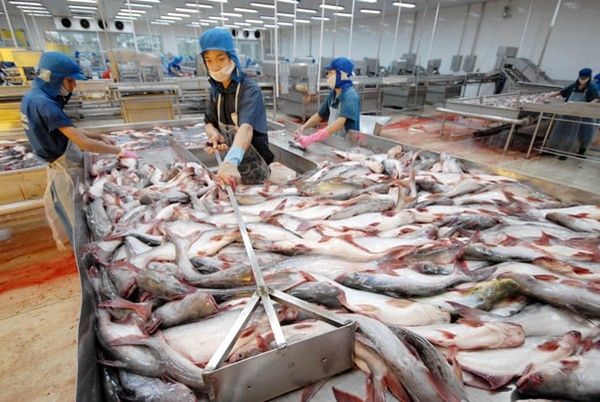 Xử lý nước thải thủy sản bằng phương pháp cơ học