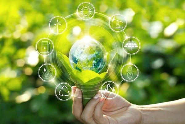 Doanh nghiệp có vai trò rất quan trọng trong việc bảo vệ môi trường