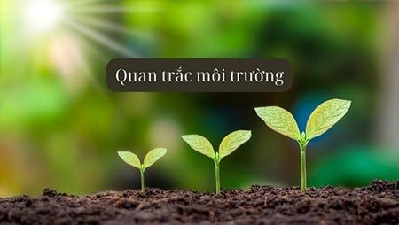 Báo cáo quan trắc môi trường