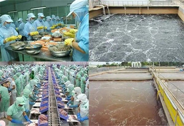 Các công nghệ tiên tiến hiện nay