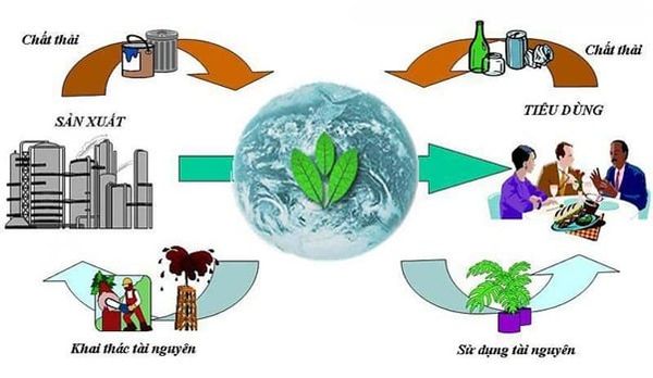 Vì sao doanh nghiệp nên sử dụng dịch vụ của công ty tư vấn môi trường?