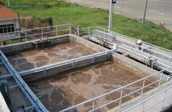 Điều kiện môi trường để nuôi cấy vi sinh xử lý nước thải