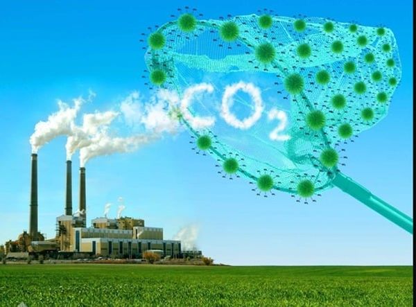 Phương pháp thực hiện kiểm kê khí nhà kính