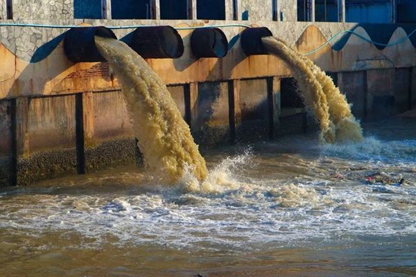 Phương pháp xử lý Coliform trong nước thải
