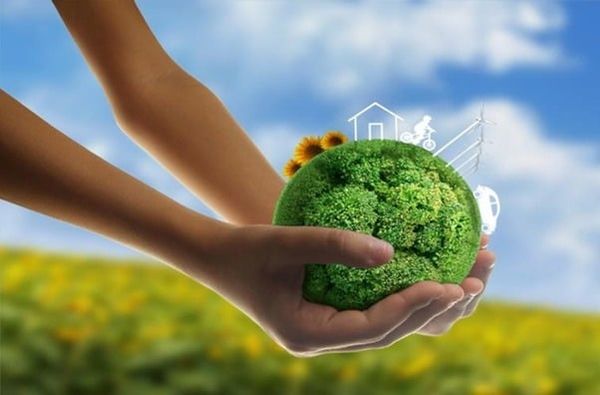 Hỗ trợ pháp lý và thủ tục hành chính