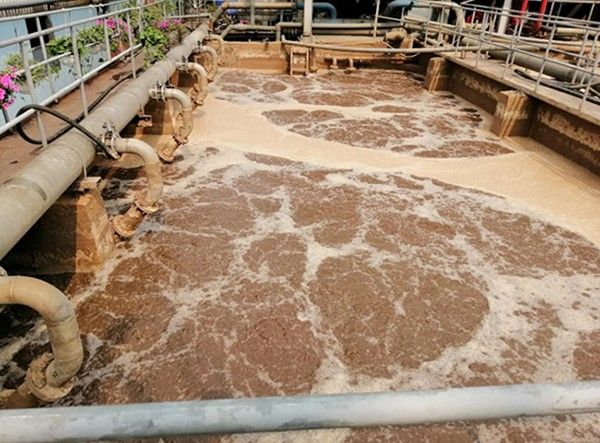Những lưu ý khi xây dựng phương pháp xử lý bùn thải