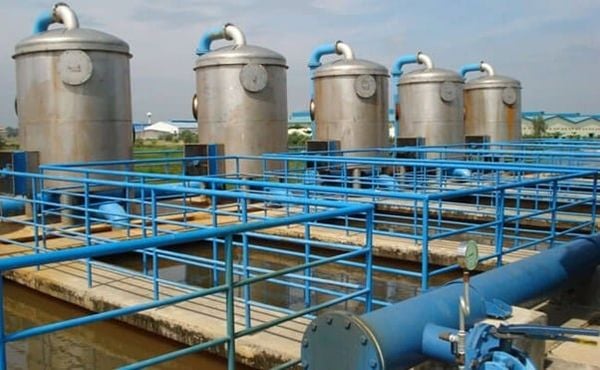 Loại hình và quy mô hoạt động