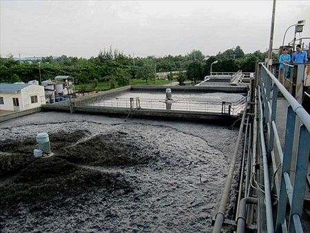 Xử lý bùn thải bằng phương pháp sinh học