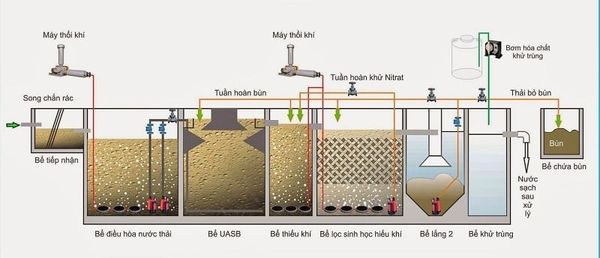 Mô phỏng 1 hệ thống xử lý nước thải chăn nuôi hiệu quả