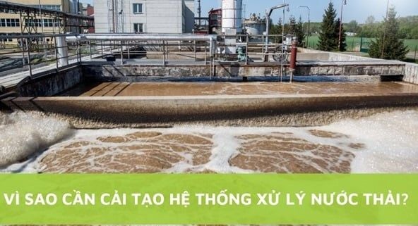 Khi nào doanh nghiệp cần thuê đơn vị vận hành hệ thống xử lý nước thải?