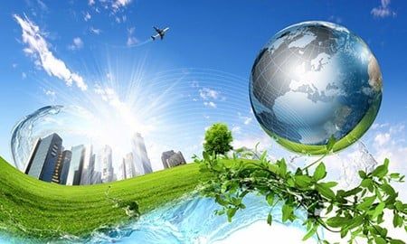 Vì sao yếu tố nhạy cảm về môi trường lại quan trọng