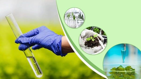 Quan trắc môi trường là gì?