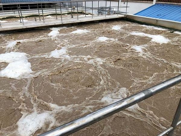 Cách xử lý coliform trong nước sinh hoạt và coliform là gì