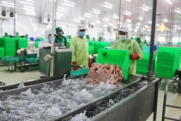 Thành phần và tính chất của nước thải khi chế biến thủy sản