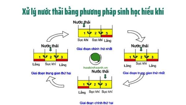 Bể sinh học hiếu khí hoạt động dựa trên sự phát triển và hoạt động của vi sinh vật hiếu khí