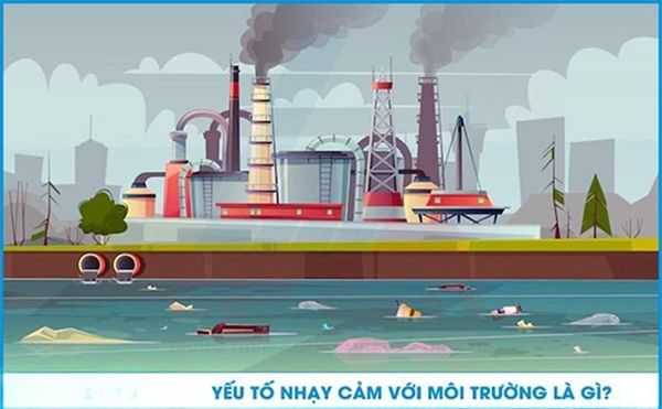 Yếu tố nhạy cảm về môi trường là gì