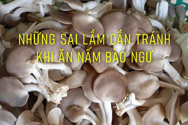 NẤM BÀO NGƯ KỴ VỚI THỰC PHẨM GÌ? NHỮNG SAI LẦM CẦN TRÁNH KHI ĂN NẤM!