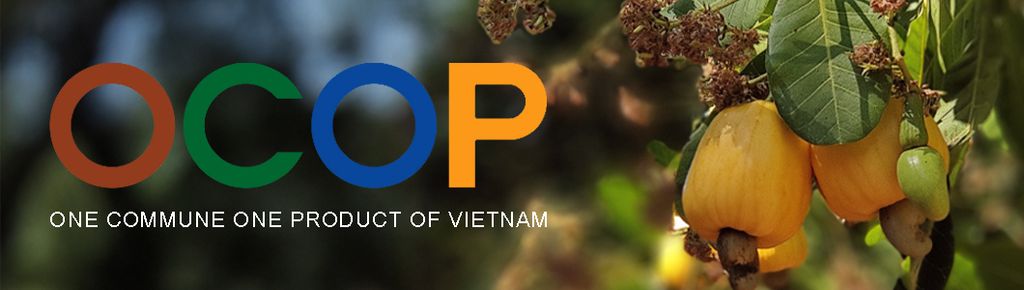 Chính sách OCOP cho Ngành Thực phẩm: Hướng dẫn & Cơ hội cho Thực phẩm chay Túc Anh