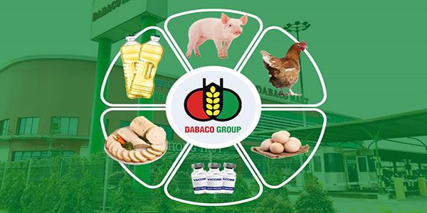 DBC cổ phiểu hưởng lợi thiên thời