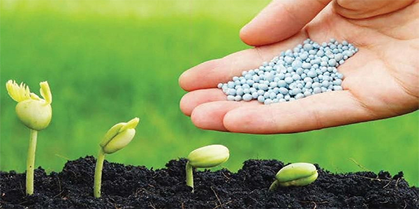 SSI Research: Triển vọng Ngành Phân bón năm 2025