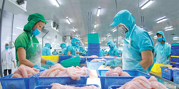 SSI Research: Triển vọng Ngành Thủy sản năm 2025