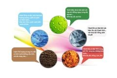 🍀🍀🍀 4 TUYỆT CHIÊU CHỌN VÒNG PHONG THỦY MỆNH MỘC Mang đến SỨC KHỎE và TÀI LỘC