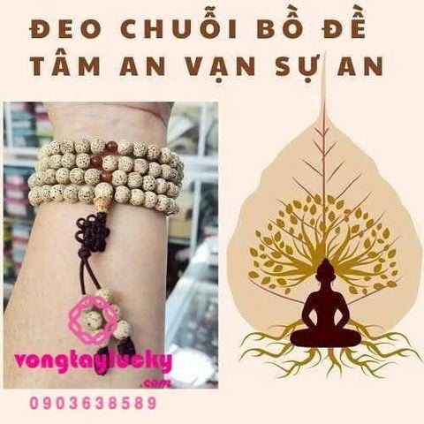 Hình ảnh bài viết