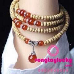 Hình ảnh bài viết