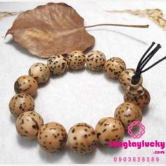 Hình ảnh bài viết