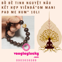 Hình ảnh bài viết