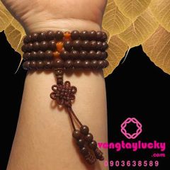 Hình ảnh bài viết