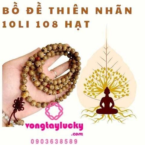 Hình ảnh bài viết