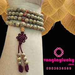 Hình ảnh bài viết