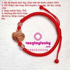 Hình ảnh bài viết