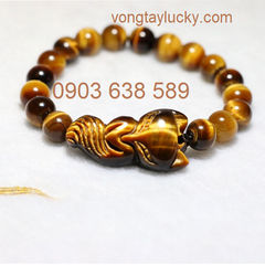 Hình ảnh bài viết