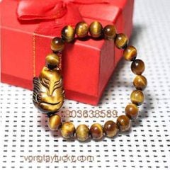 Hình ảnh bài viết