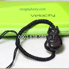 Hình ảnh bài viết