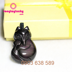 Hình ảnh bài viết