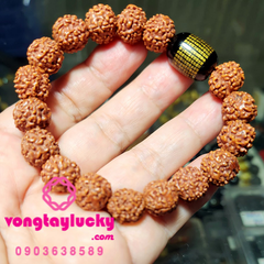 Hình ảnh bài viết