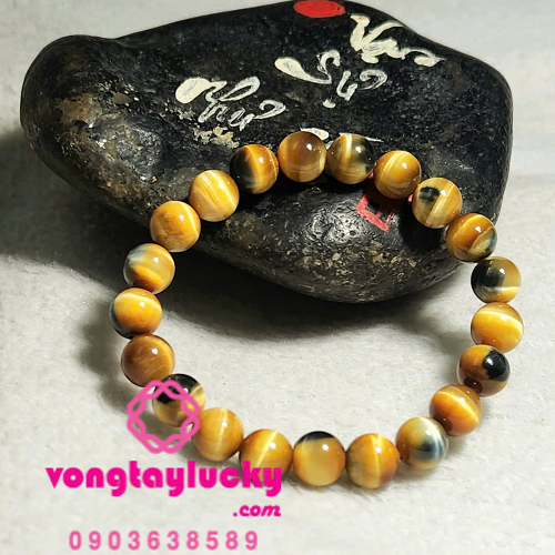 Hình ảnh bài viết