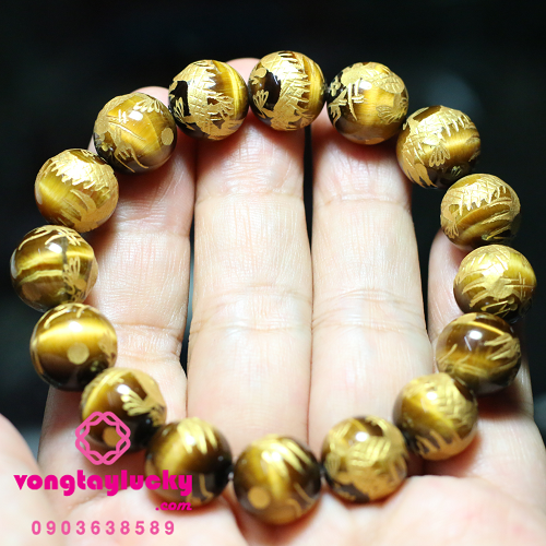 Hình ảnh bài viết