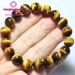 Hình ảnh bài viết