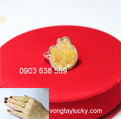 Hình ảnh bài viết